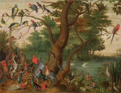 Concert of Birds by Jan van Kessel the Elder